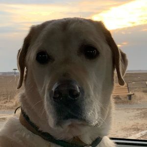 Meet your Posher, Colleen